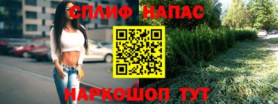 mdma Камышлов