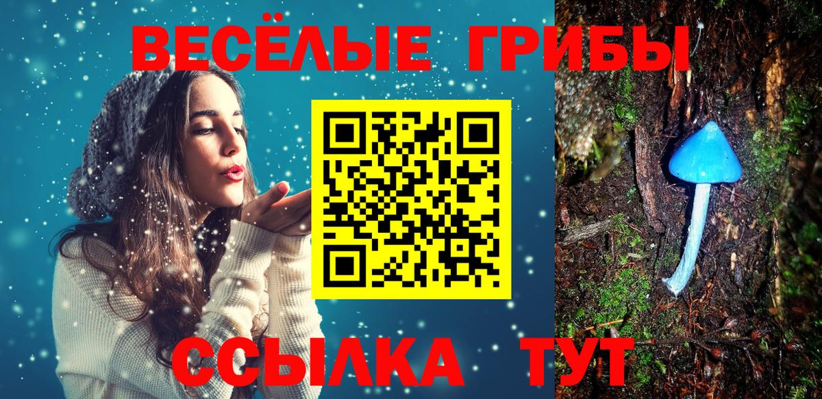 Южноуральск  Галлюциногенные грибы мухоморы  Псилоцибиновые грибы Psilocybine cubensis  Вход с VPN 